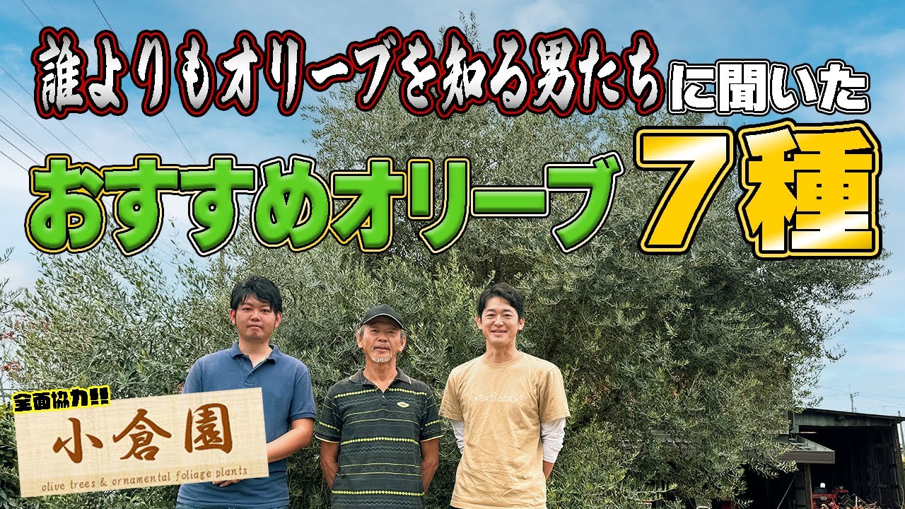 Carefully selected from 120 varieties] 7 varieties of 