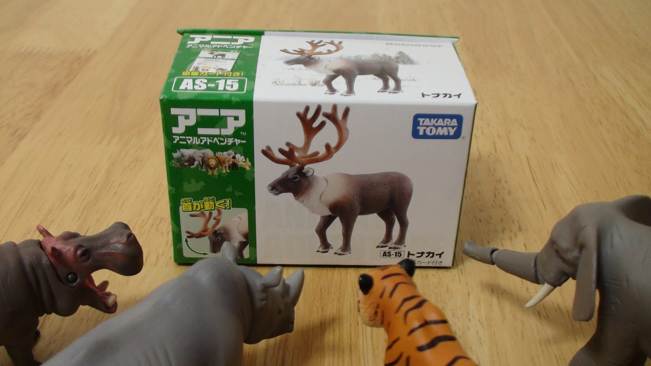 アニア アニマルアドベンチャー AS 15 トナカイ 開封レビュー - YouTube