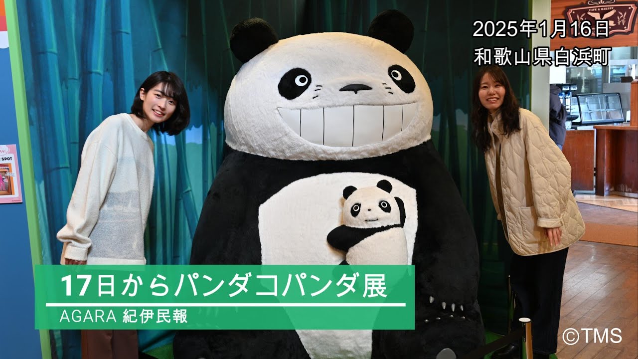 体験型展覧会「パンダコパンダ展」開催 和歌山県白浜町 - YouTube