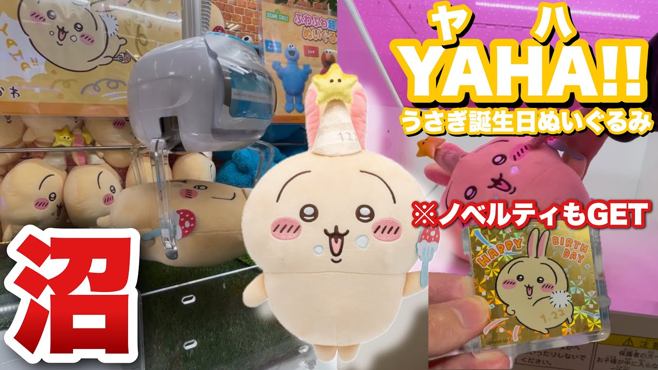 ちいかわ】やや沼りながら誕生日なうさぎBIGぬいぐるみを取ってきた