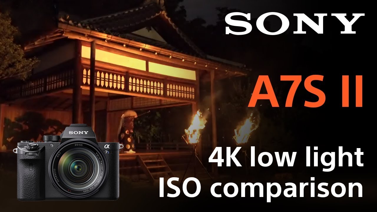 Sony α7SⅡ 驚異の高感度カメラ - ハレクラニ フィル | HALEKULANI FIL