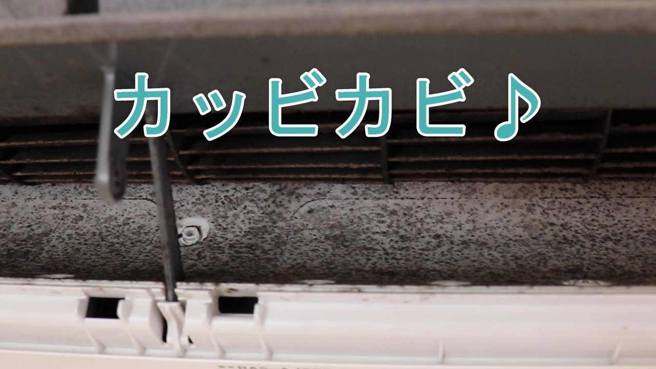 DIY】エアコン洗浄【前編】 エアコン掃除 白くまくん エアコン