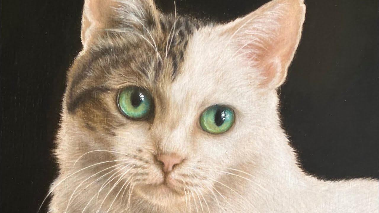 色鉛筆画【キジ白猫 / アミちゃん】の制作過程♪ - YouTube