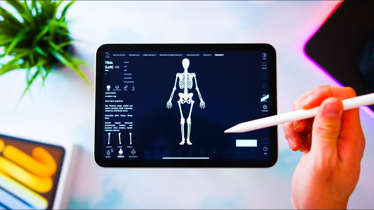 iPad Mini 6 (Starlight) + Apple Pencil 2 Review for Students