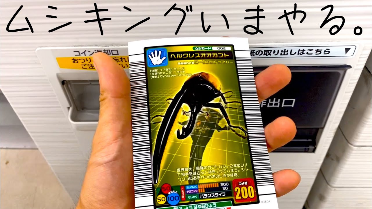 ムシキング 2004ファーストを、いまやる。 - YouTube