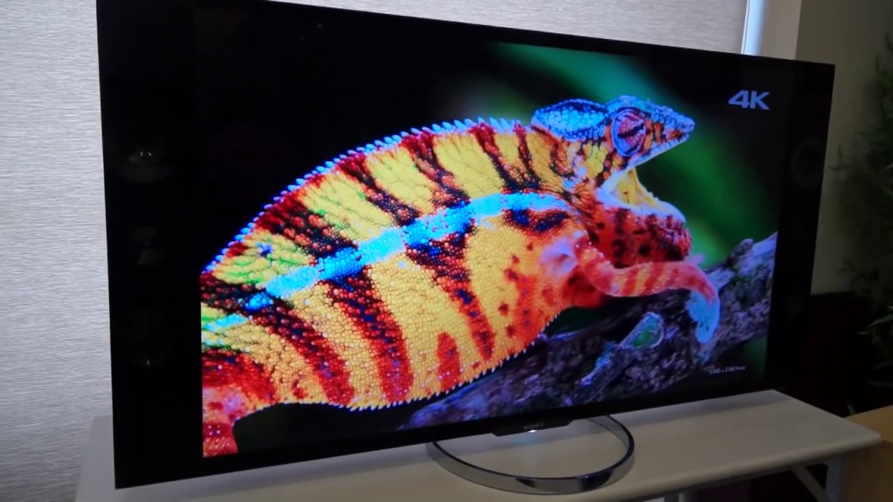 maxresdefault.jpg?sqp=-