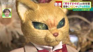 ジブリパーク】「耳をすませば」の地球屋 瞳輝くバロンやリアル調度品