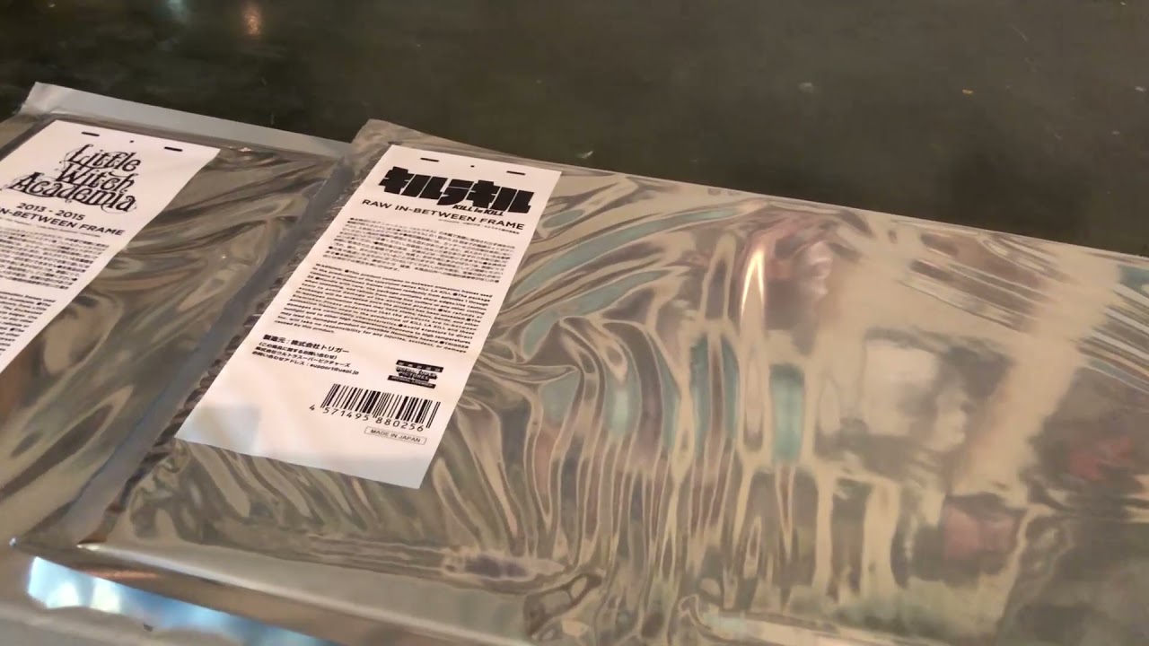 リトルウィッチアカデミア生動画パッケージRAW IN-BETWEEN FRAME
