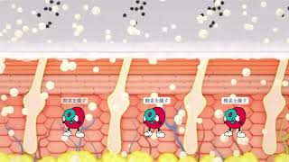 最新！パッケージリニューアル 業務用カーボキシー 顔専用 セット 業務用 カーボキシーセットB<顔専用7万ppm> [カーボキシー炭酸ガス