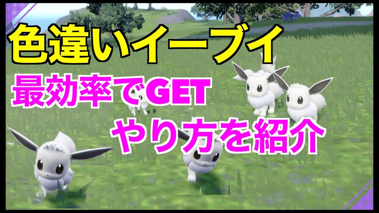 Pokemon SV Get different colored Eevee in 15 minutes! Introducing