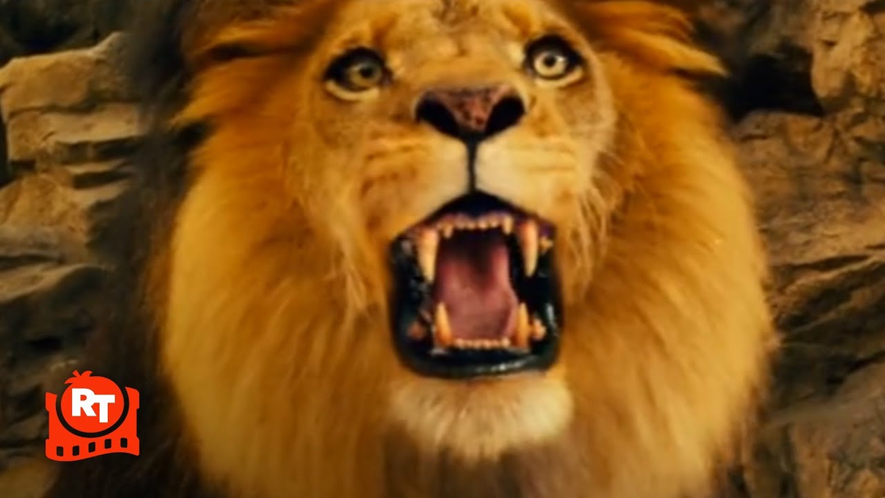 Zookeeper (2011) - Lion Attack Trick Scene | Movieclips - YouTube