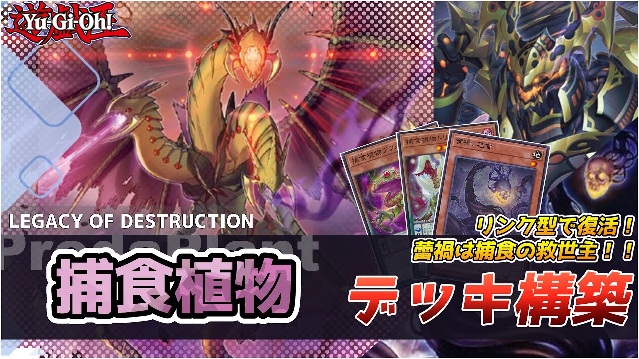 Yu-Gi-Oh!] Predator Plants Deck Building Recipe and How to Play It