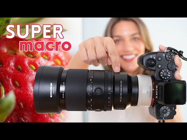 SUPER MACRO! Sony's NEW 100mm f/2.8 MACRO has it all! - YouTube