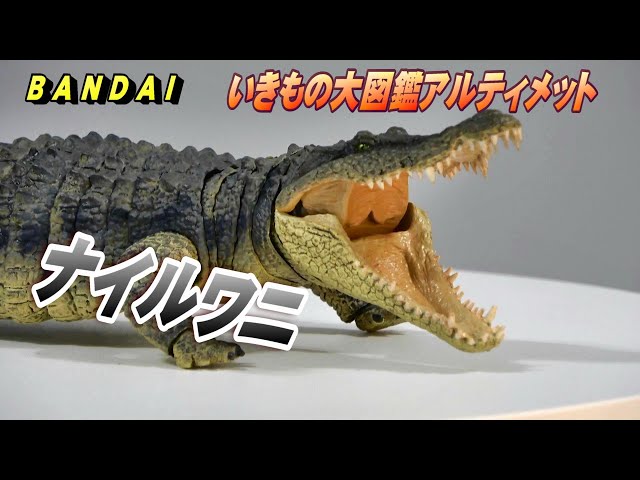 ナイルワニ》いきもの大図鑑アルティメット 開封レビュー