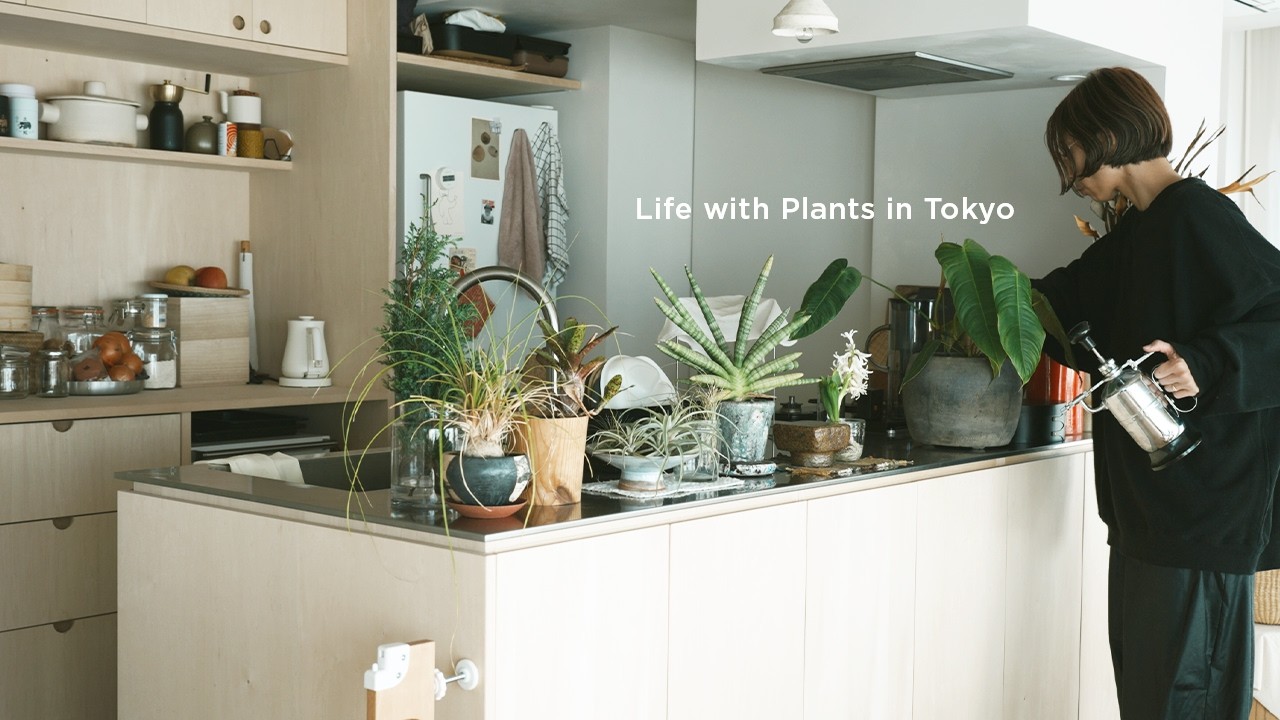 sub) Shopping at IKIJI＋Autumn picnic🐕 VLOG #13 - YouTube