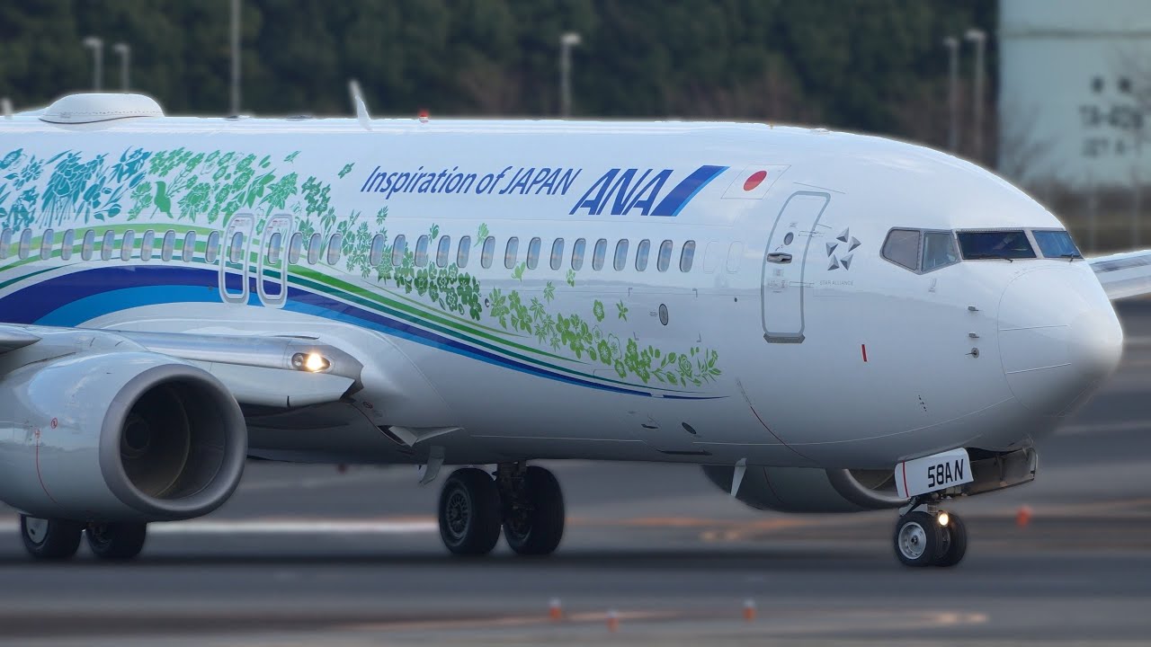 ANA ふるさと JET | Furusato Jet Boeing 737-800 JA58AN Landing at