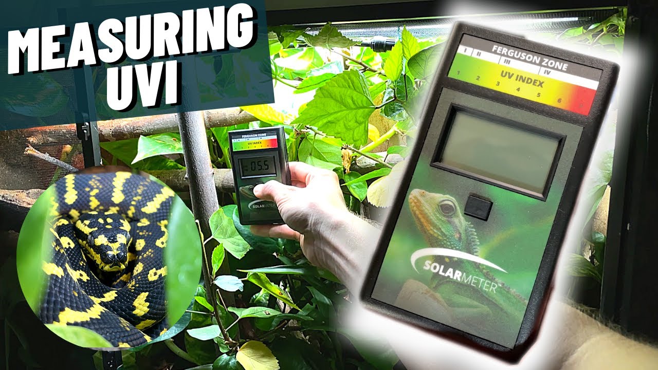 Zoo Med Digital UV Index Radiometer - YouTube