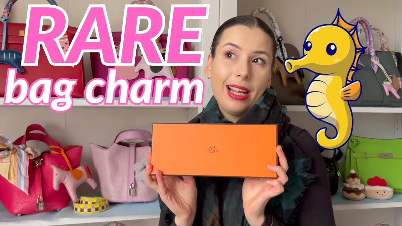Hermes Hippo Charm UNBOXING! ₊‧.°.⋆.Plus NEW Twillies