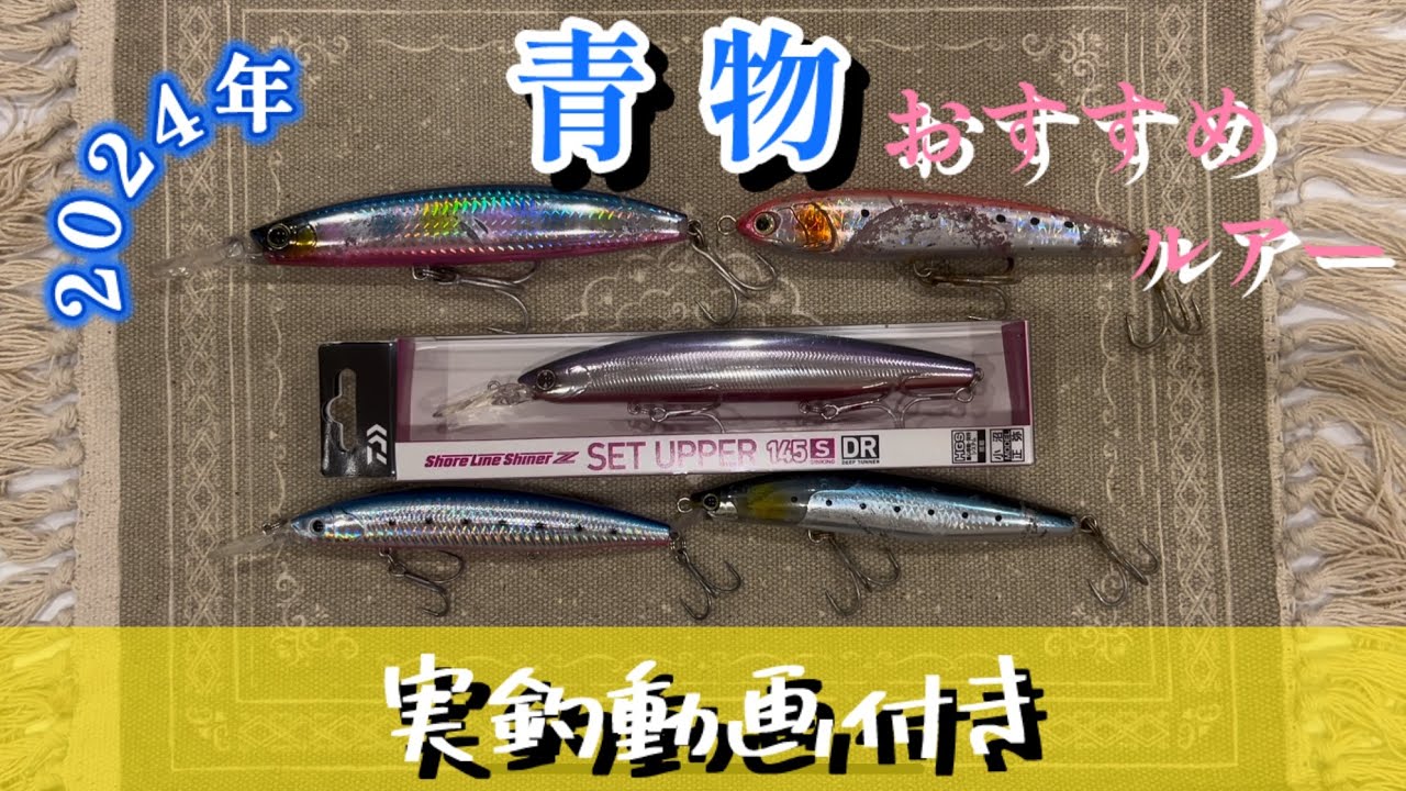 ショアジギング】青物におすすめのルアー紹介⭐️青物が釣れた動画