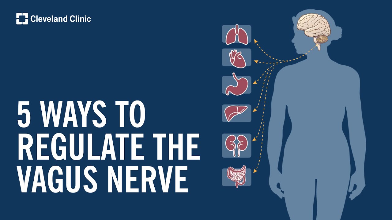 5 Ways to Stimulate and Regulate Your Vagus Nerve - YouTube