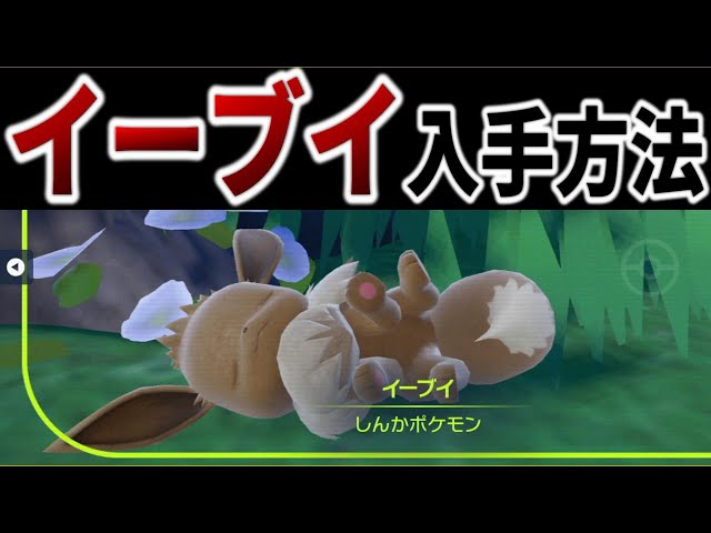 ポケモンSV】イーブイの入手方法解説【ポケットモンスター