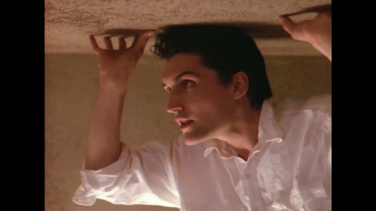 The Dolphin Brothers - Shining (1987) HD - YouTube