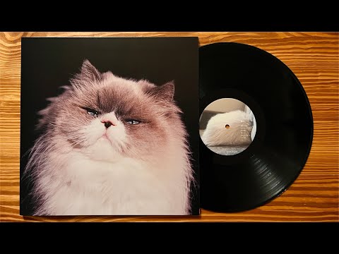 カネコアヤノ – 燦々 – Vinyl (180g, LP, Album + 2 more), 2020