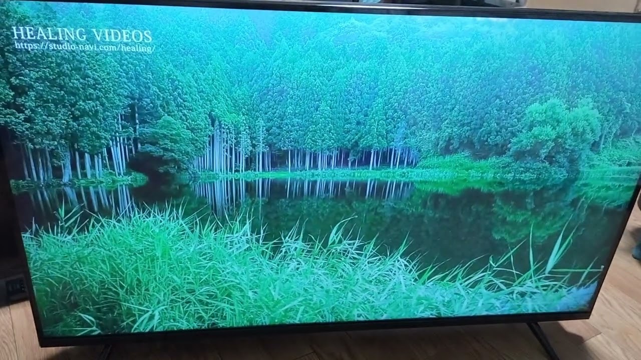 ASTEX AI-S43K 43型4K対応 チューナーレス スマートテレビ 【公式通販】