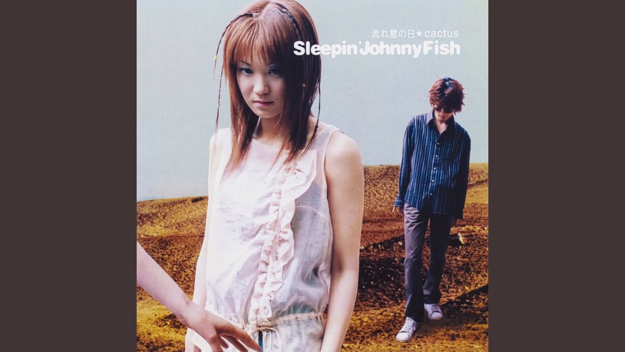 流れ星の日 - YouTube