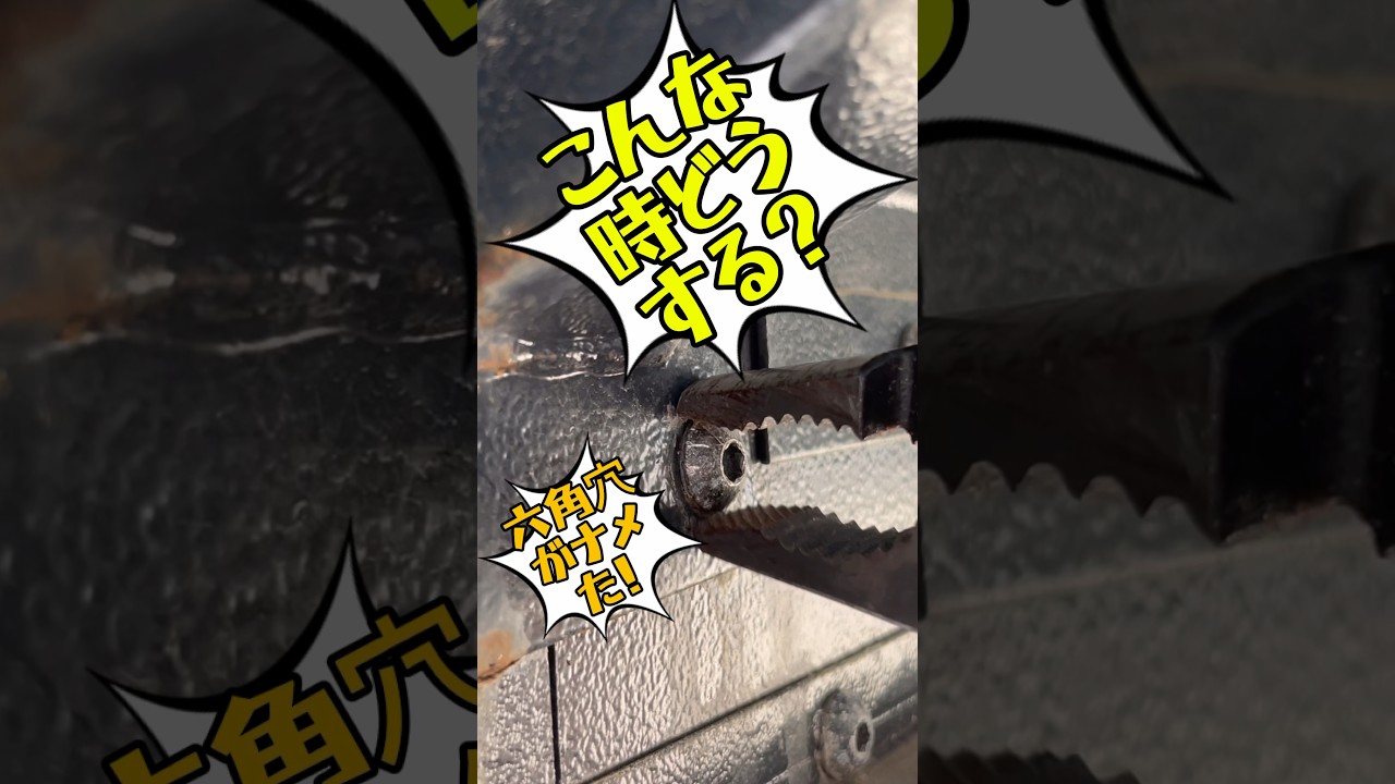 数量限定】クニペックス 限定ツイングリップスティールブルー 8201