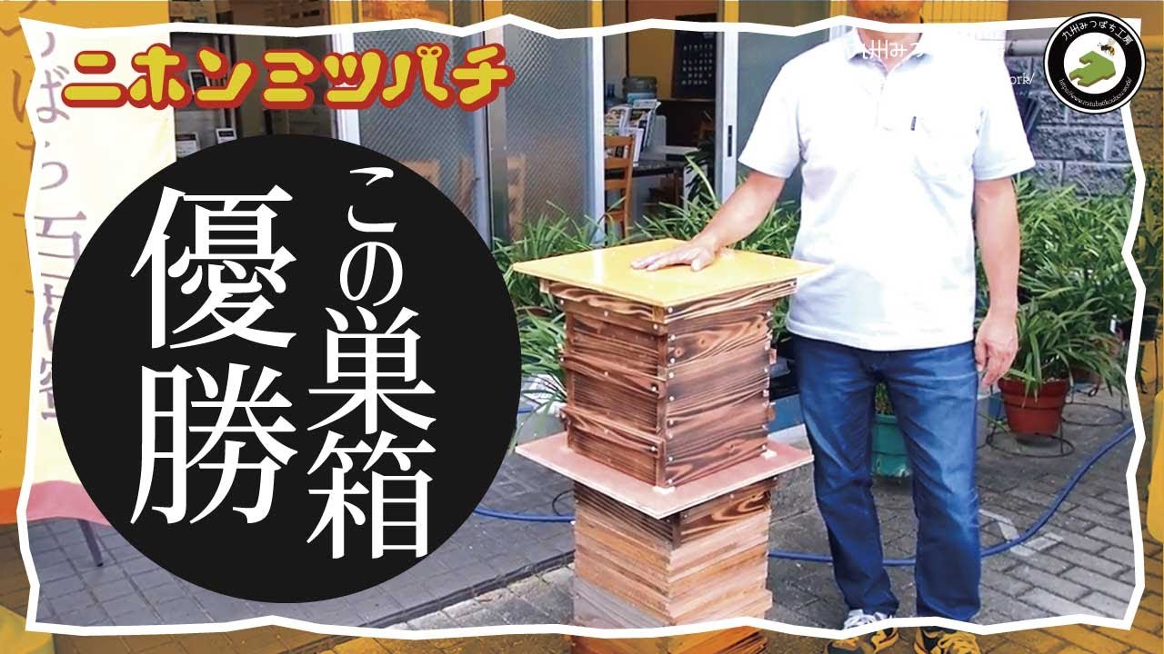 重箱式【待受け巣箱の使い方】日本みつばちの養蜂 How to Beekeeping
