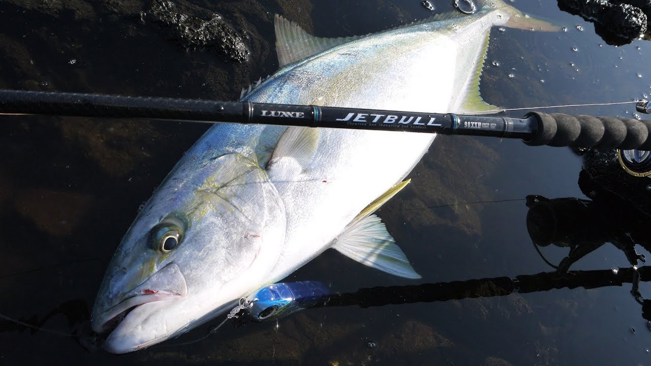 JETBULL】パワーロッドでロックショアゲーム！! - YouTube