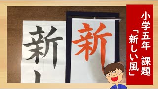 Calligraphy] New Year's Calligraphy Model Video: 5th Grade 