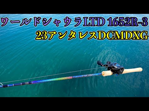 ワールドシャウラリミテッド1652R-3と23アンタレスDCMDのインプレ