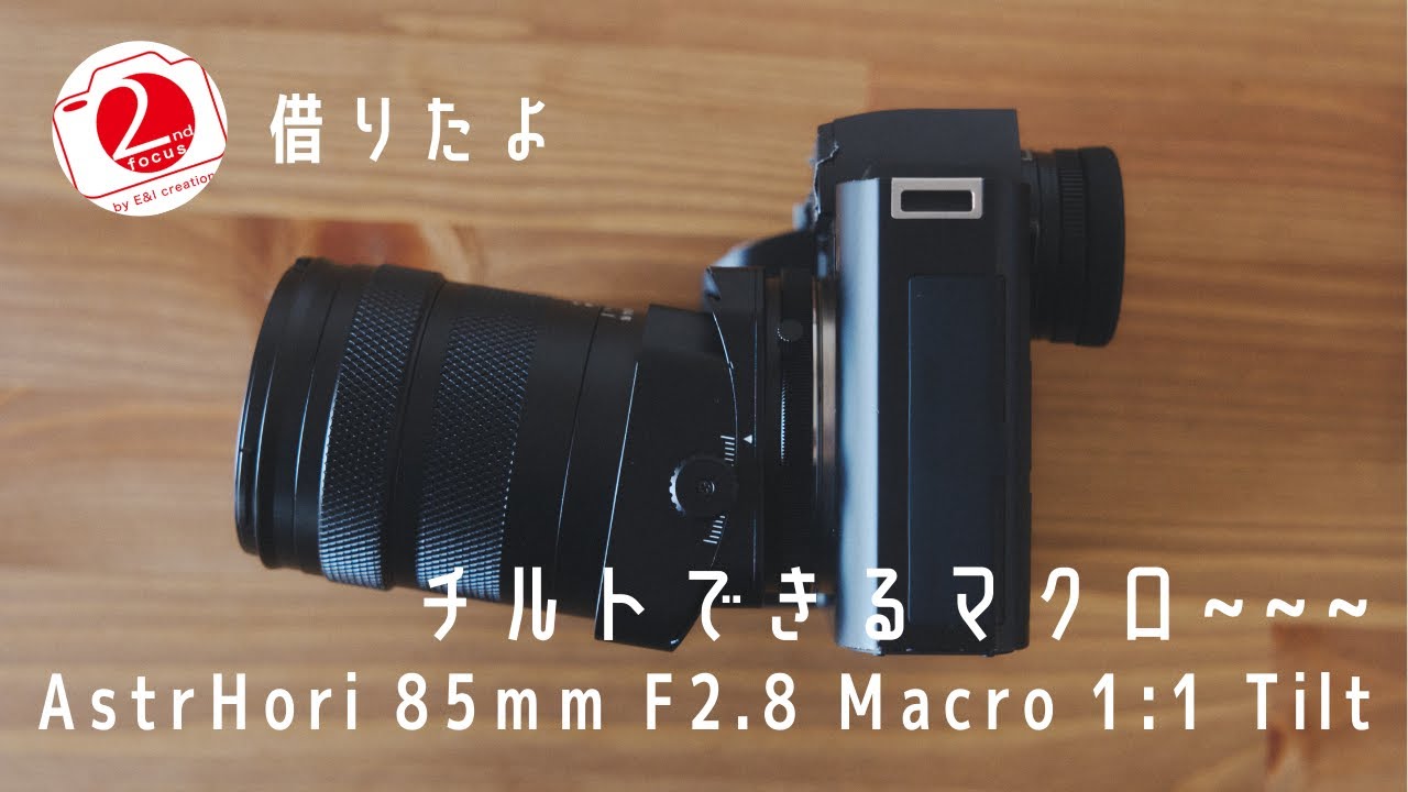 AstrHori 85mm f2.8 Macro 1:1 Tilt｜みわ
