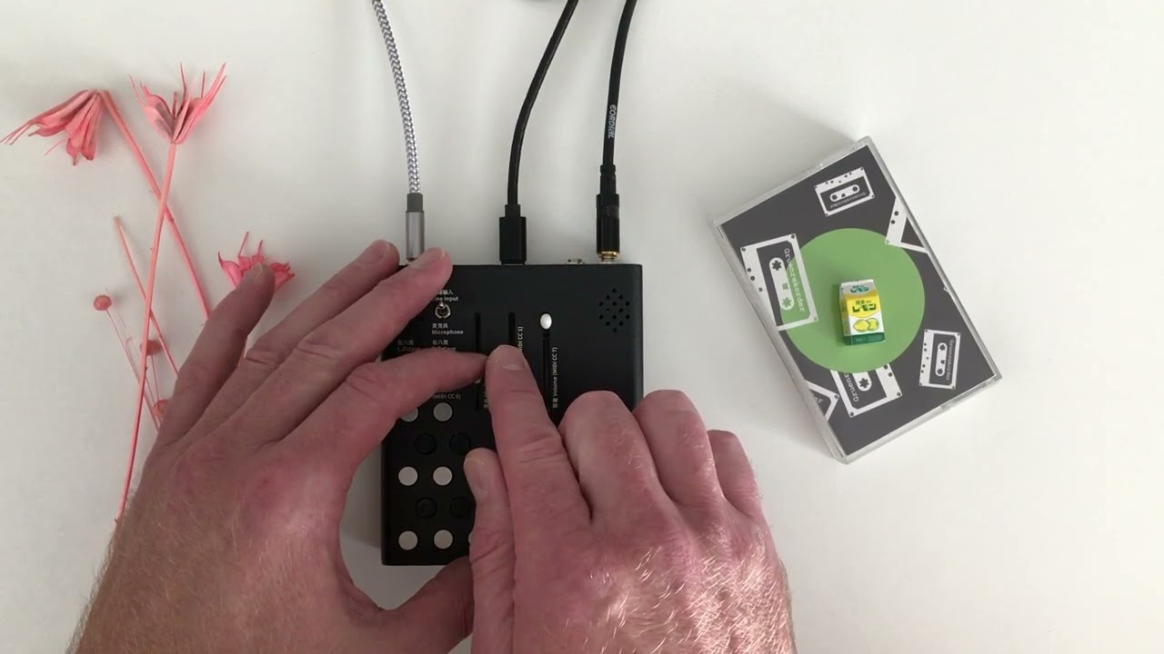 Meng Qi - Wingie - MKII // Insects & telesounds through the stereo