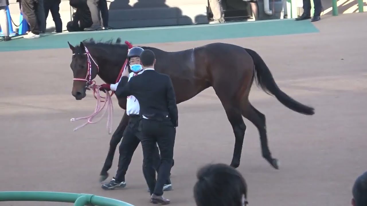 2022 第96回 中山記念 GⅡ ウィニングラン 現地映像 パンサラッサ