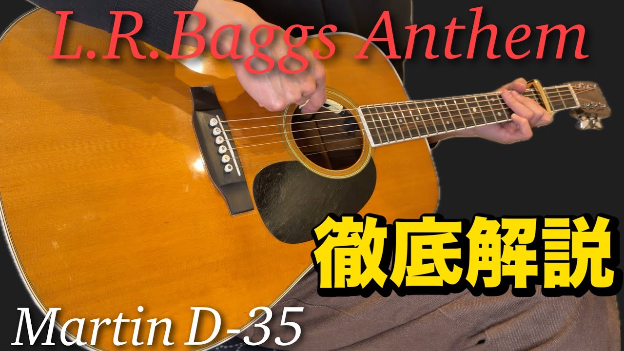 徹底解説】L.R.Baggs Anthem with Martin D-35 アーティスト御用達