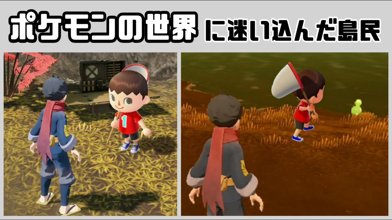 ポケモンレジェンズの世界に迷い込んだ島民【Pokémon LEGENDS