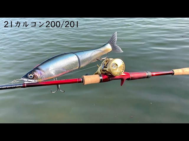 Yes, it's a godly reel. 21 Calcutta Conquest 200/201 Impressions