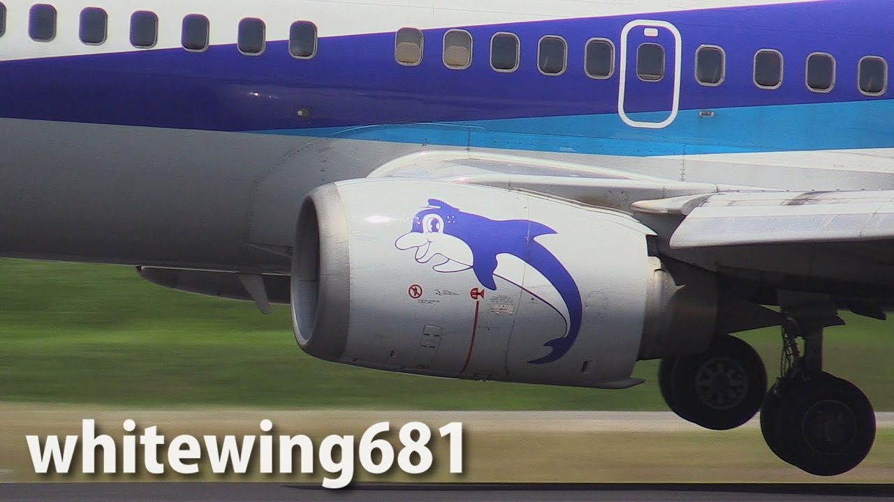 Dolphin Close-Up] ANA WINGS Boeing 737-500 JA8404 LANDING OSAKA