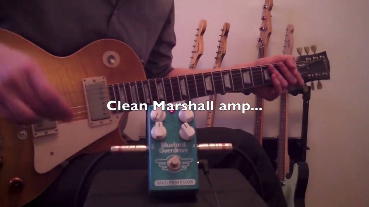 Mad Prof. Bluebird OD Delay – Motor City Guitar