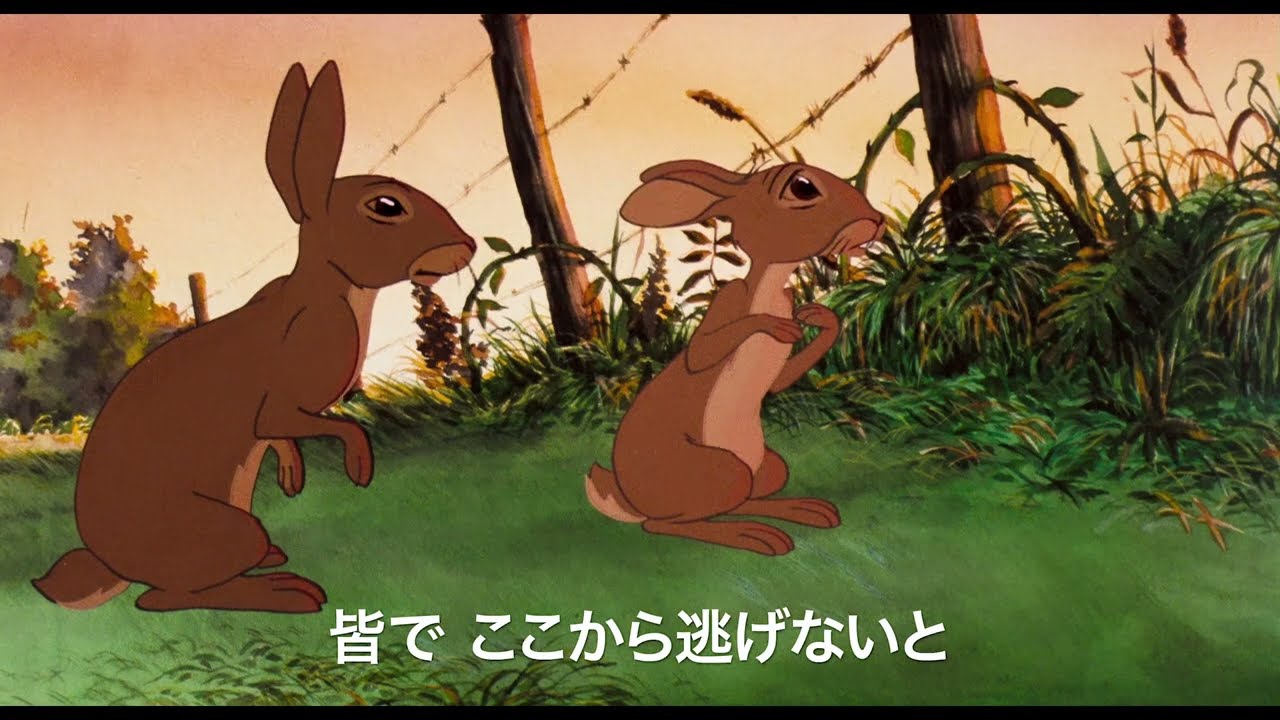 ウォーターシップ・ダウンのうさぎたち - 45年の時を経てよみがえる