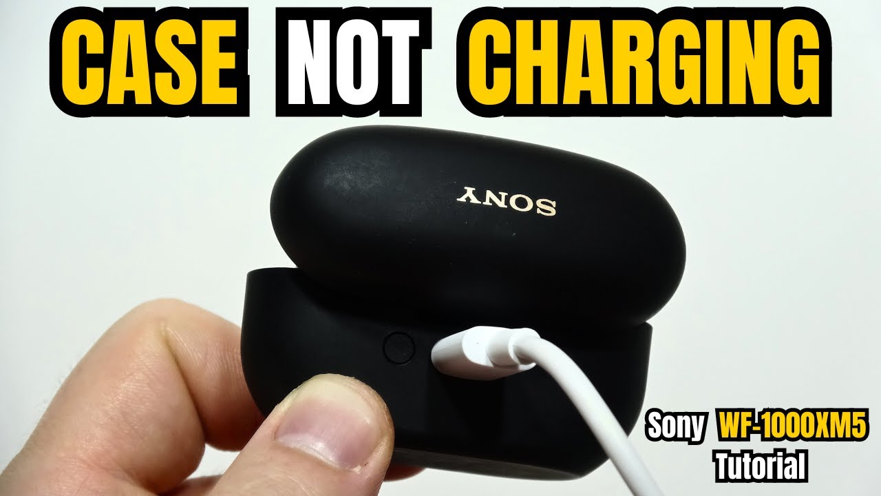 Sony WF-1000XM5: Fix Case Not Charging - YouTube