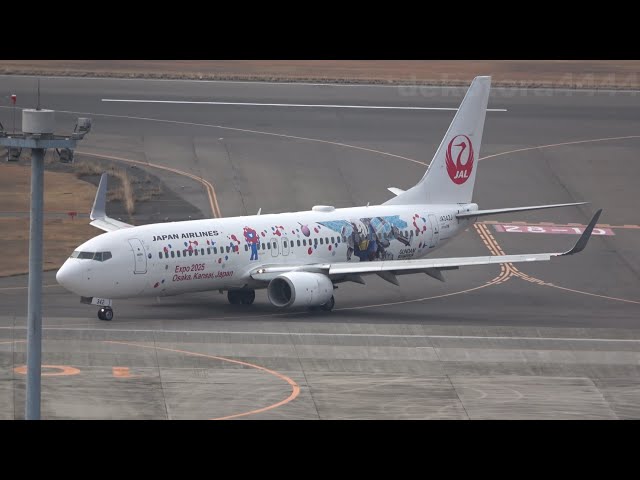 航空機・ヘリコプター JAL B737-800 JA324J GunDAM JAL Gundam JET's