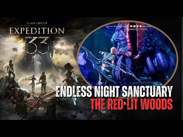 Endless Night Sanctuary Guide | Ultimate Sakapatate & Chromatic
