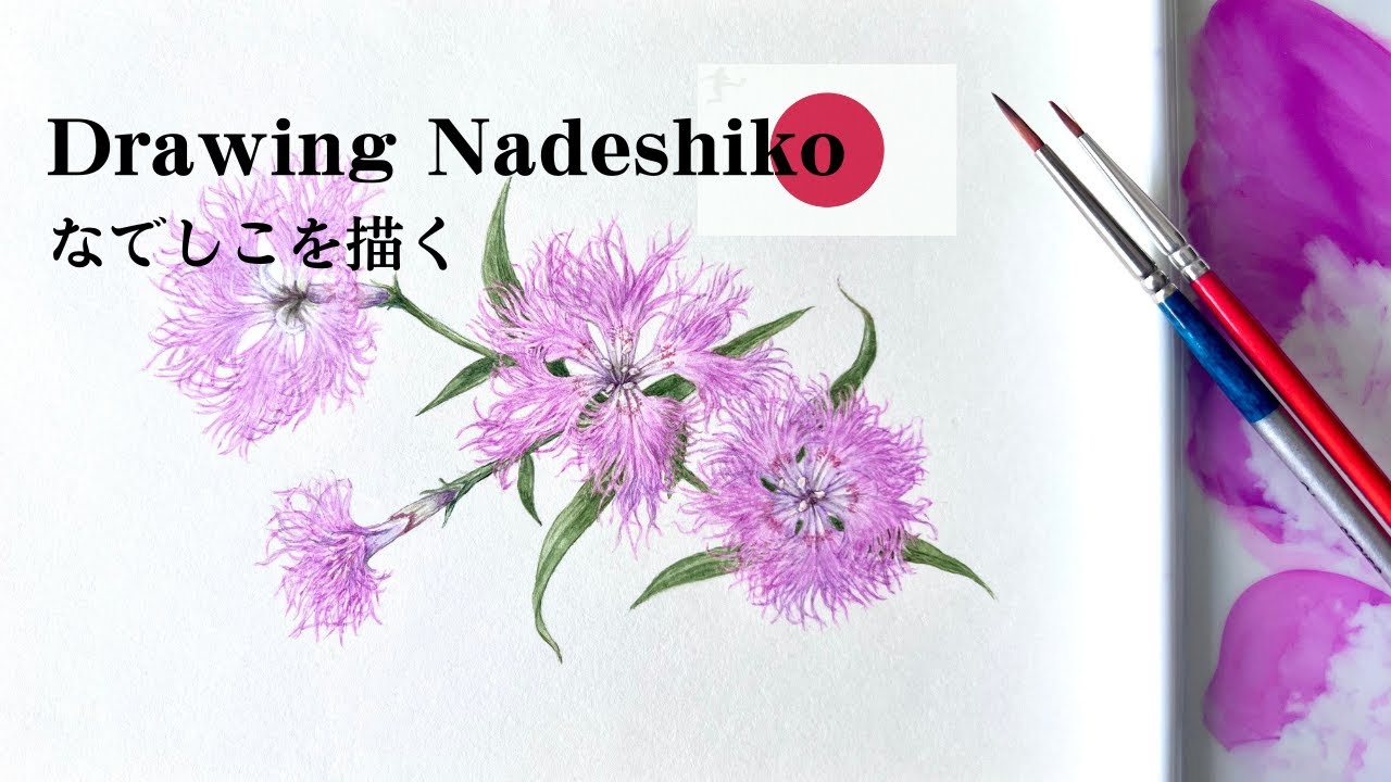 Special Edition】Drawing Nadeshiko / なでしこを描く - YouTube