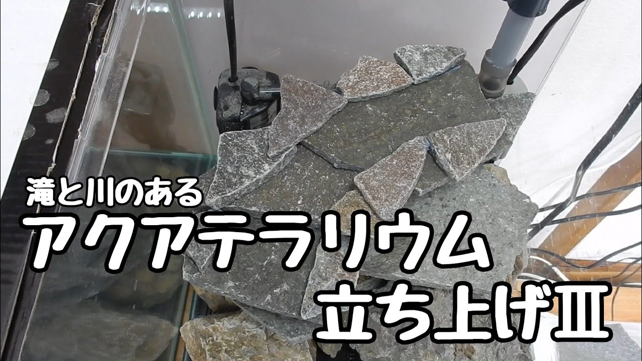 30cmキューブ水槽の滝と川のあるアクアテラリウム立ち上げⅢ