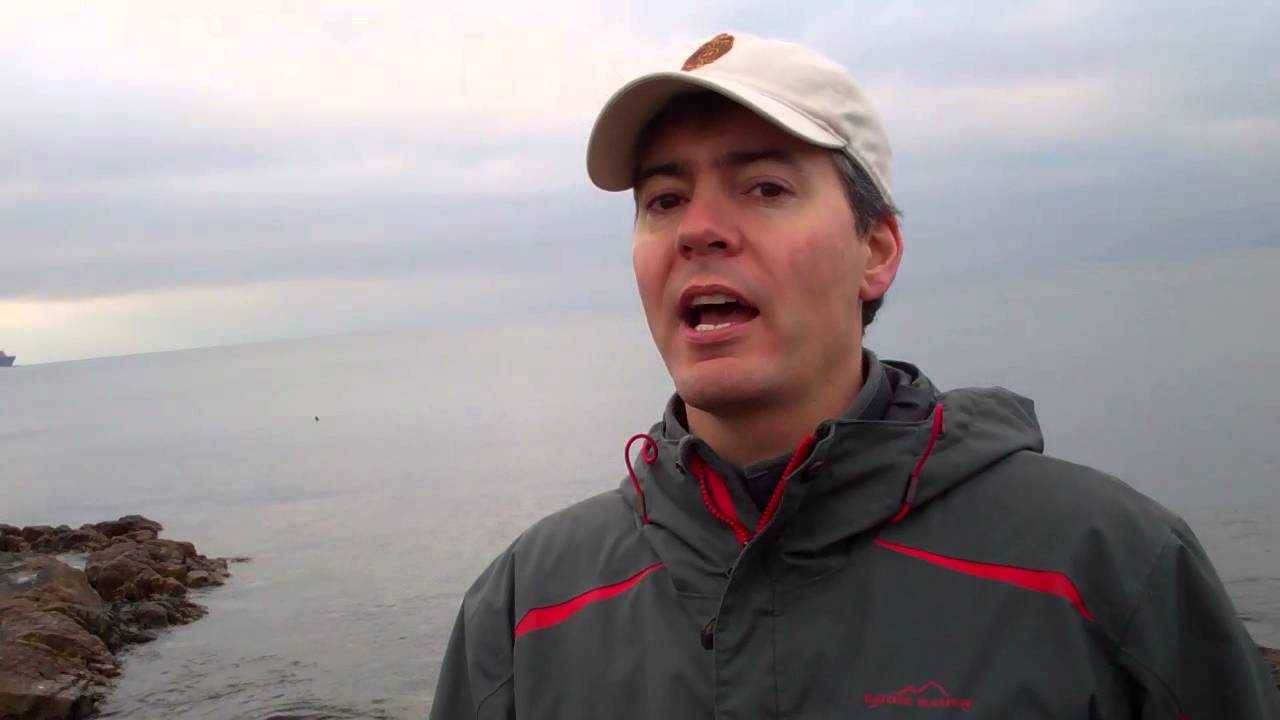 Grateful Dead - Seaside Chat: Dave's Picks Vol. 9 - YouTube