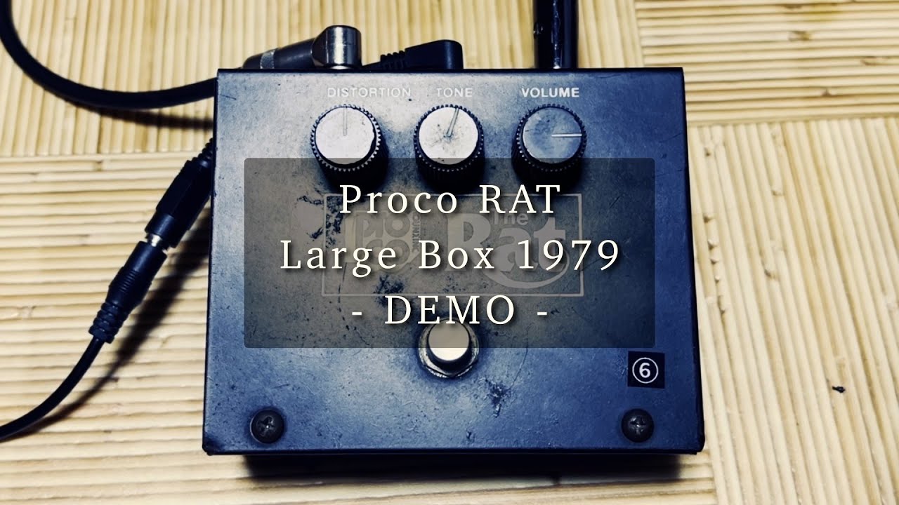 PROCO RATをレビュー！年代別の見分け方とサウンドを比較してみた